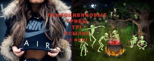 соль ск Верхнеуральск