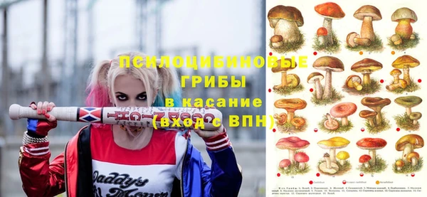 твердый Бугульма