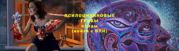 МДМА Бородино