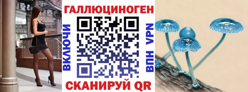 МЕГА сайт  Кингисепп  Галлюциногенные грибы мицелий 